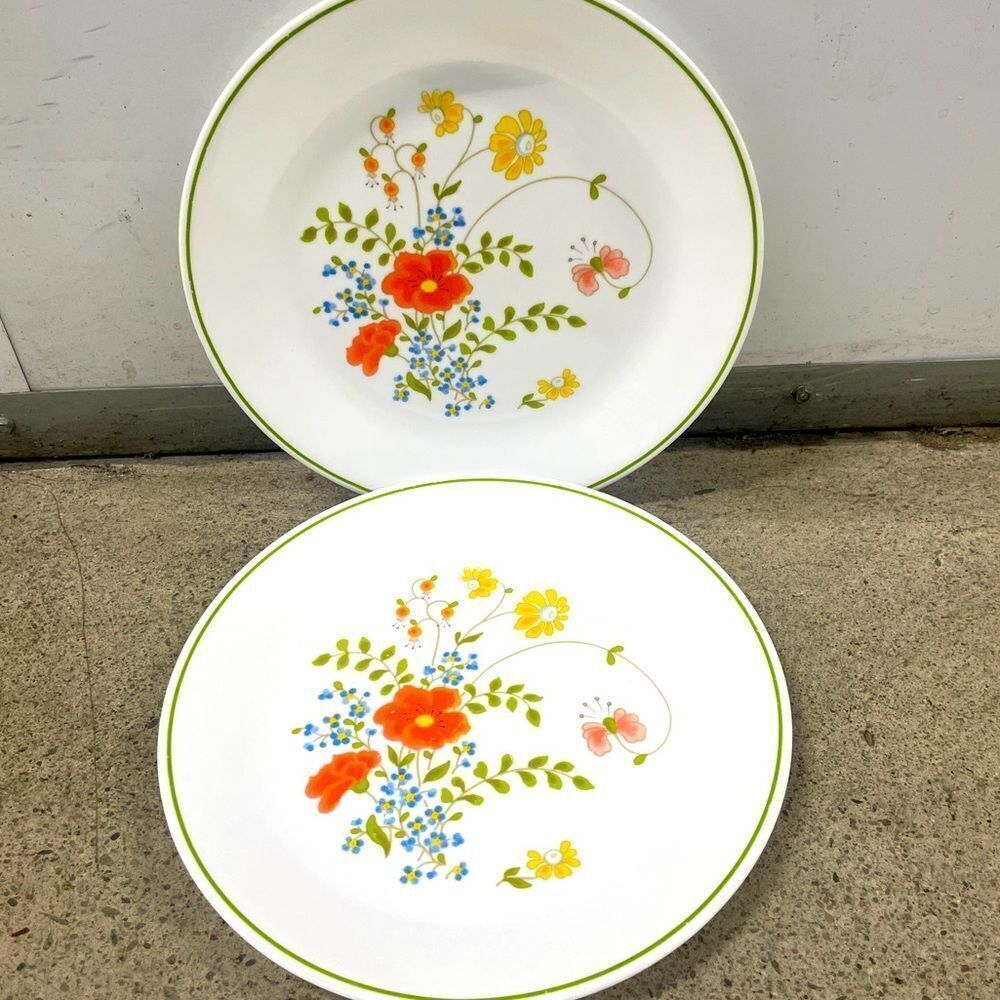 2 Vintage Corelle by Corning Dinner Plates